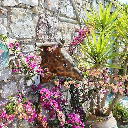 Amazing Luxury Private Birds Majestic View Near The Sea * Achladies (Skiathos)
