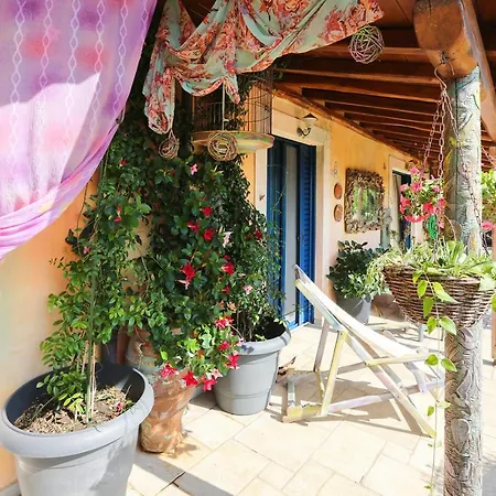 Lejlighed Amazing Luxury Private Birds Majestic View Near The Sea