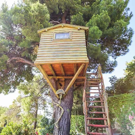 Amazing Luxury Private Birds Majestic View Near The Sea شقة *